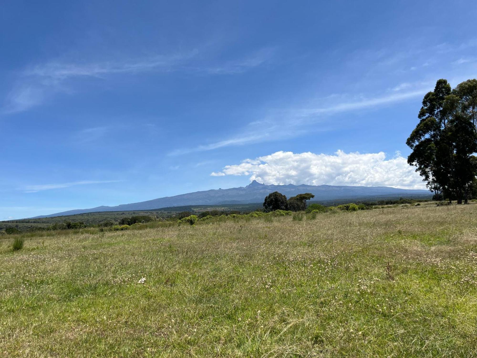 Rafiki House Otel Nanyuki Dış mekan fotoğraf