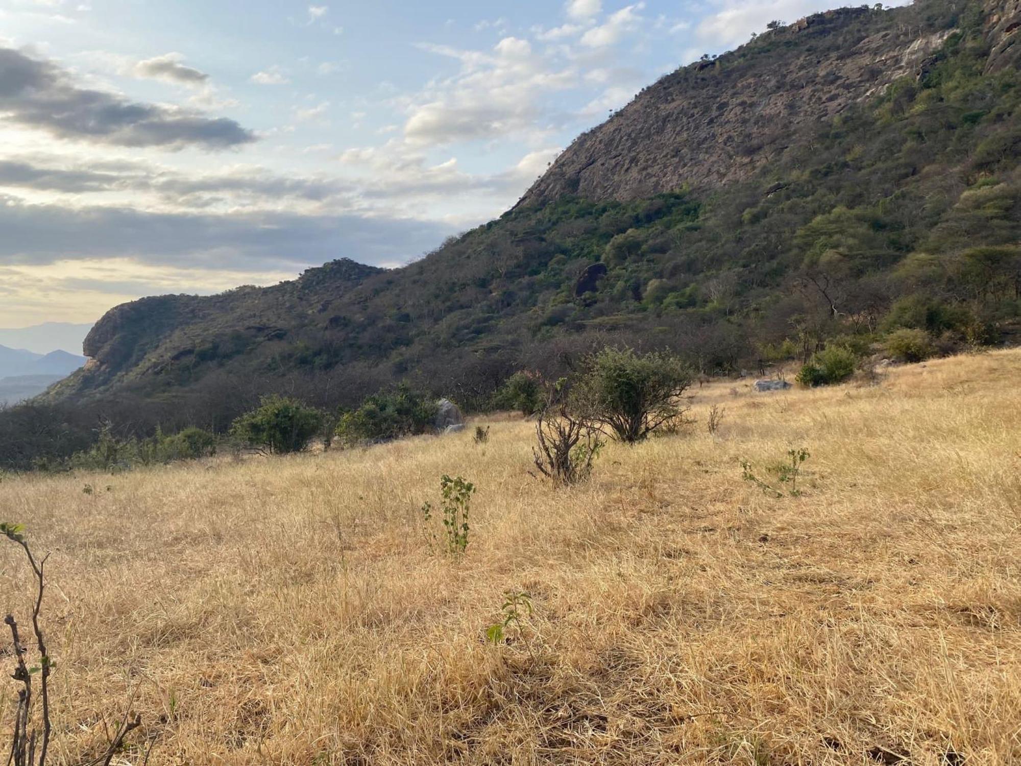 Rafiki House Otel Nanyuki Dış mekan fotoğraf