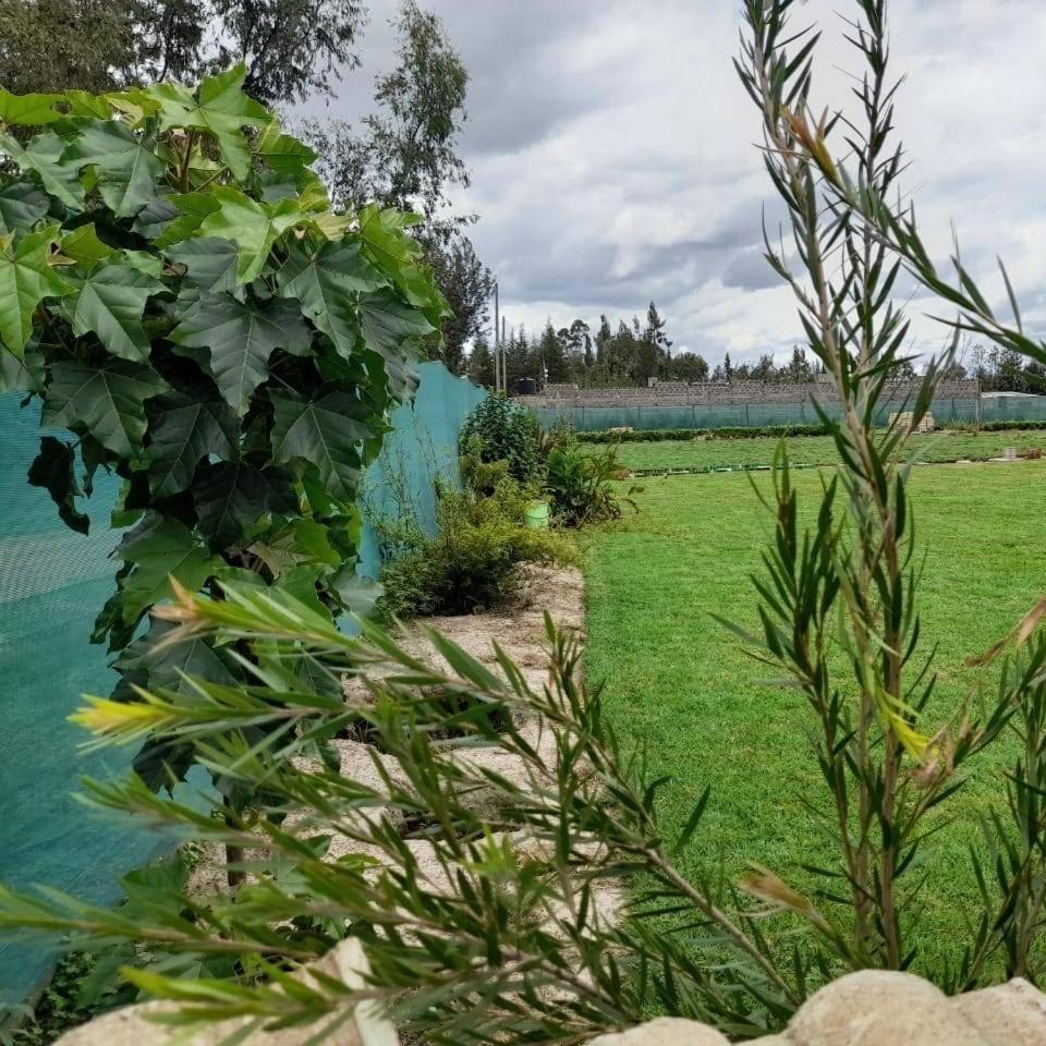 Rafiki House Otel Nanyuki Dış mekan fotoğraf