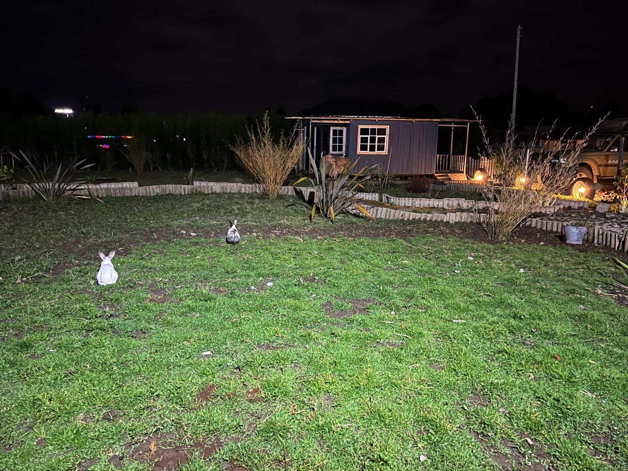 Rafiki House Otel Nanyuki Dış mekan fotoğraf